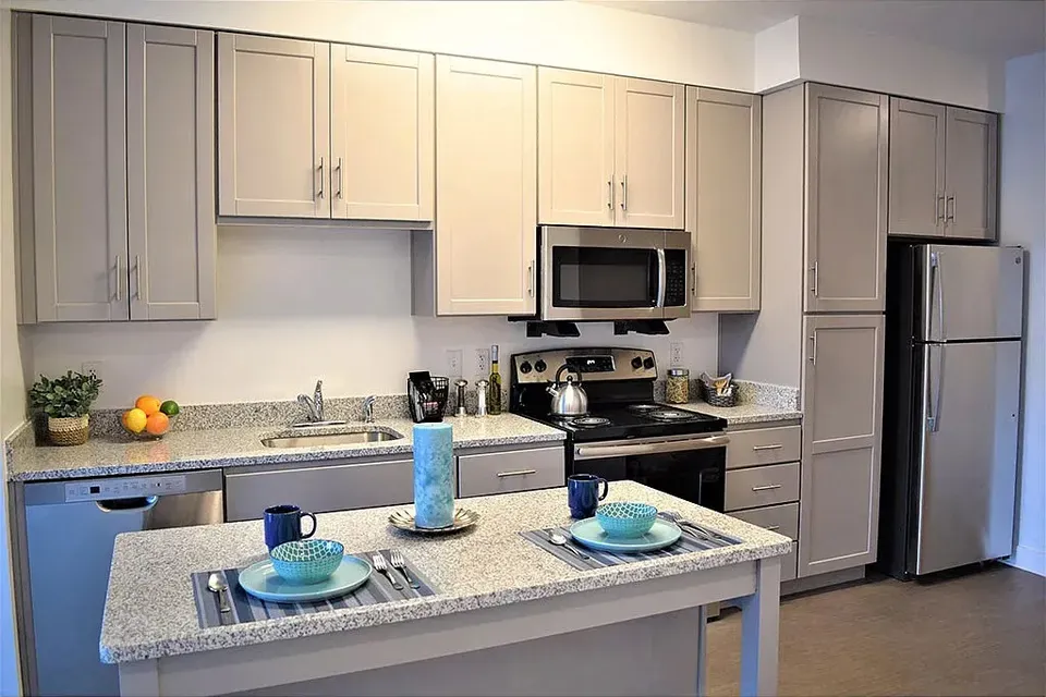 3 Bed 2 Bath Urban Residential Condo in Arlington, VA - 1