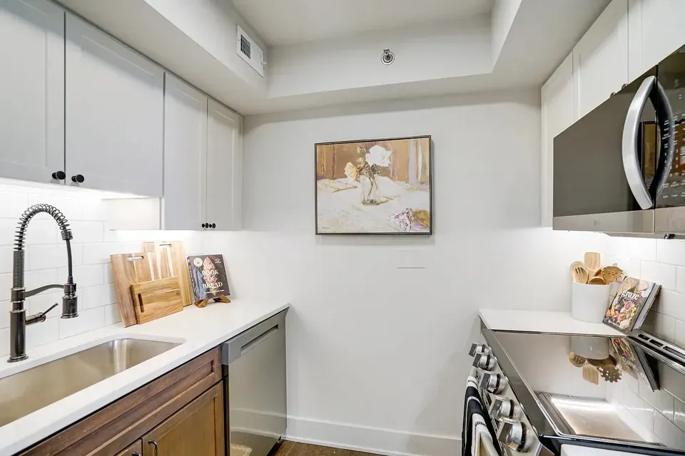 3 Bed 2 Bath Urban Residential Condo in Arlington, VA - 2