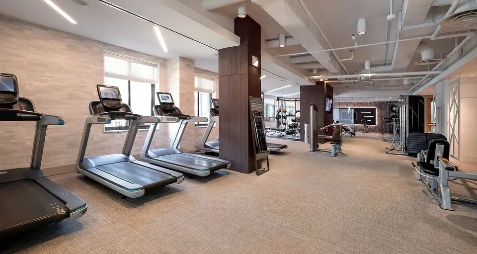 3 Bed 2 Bath Urban Residential Condo in Arlington, VA - 3