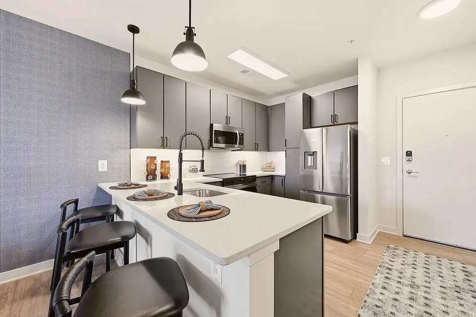 3 Bed 2 Bath Urban Residential Condo in Arlington, VA - 2