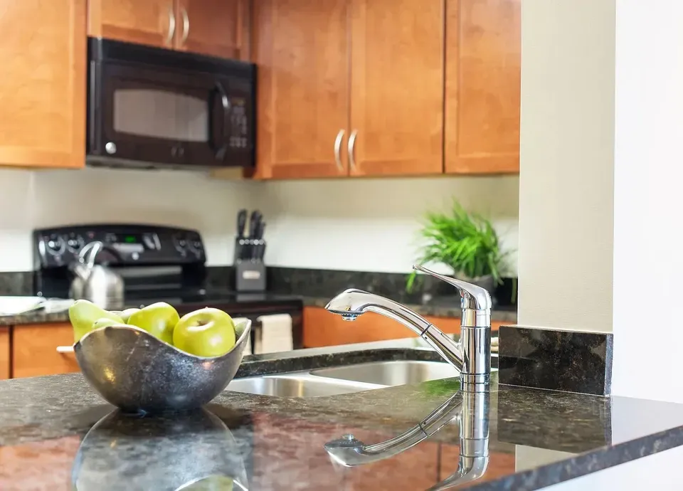3 Bed 2 Bath Urban Residential Condo in Arlington, VA - 1