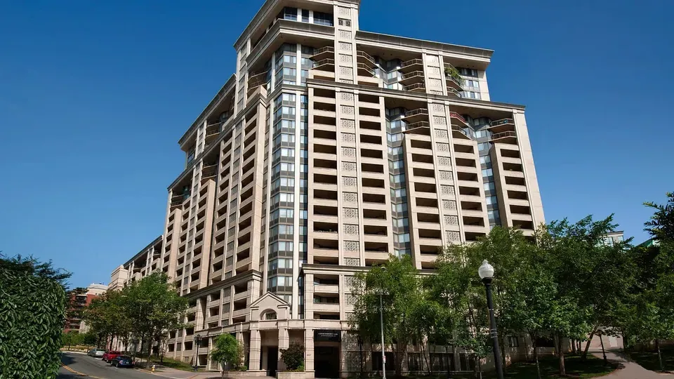 3 Bed 2 Bath Urban Residential Condo in Arlington, VA - 2