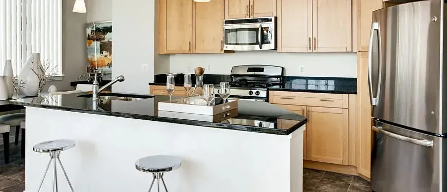 3 Bed 2 Bath Urban Residential Condo in Arlington, VA - 2