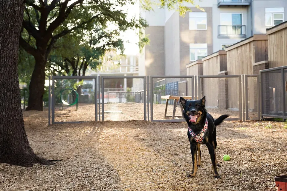 3 Bed 2 Bath Urban Residential Condo in Austin, TX - 4