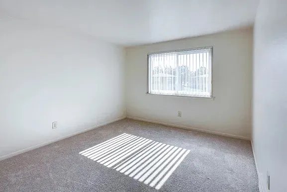 3 Bed 2 Bath Urban Residential Condo in Buffalo, NY - 5