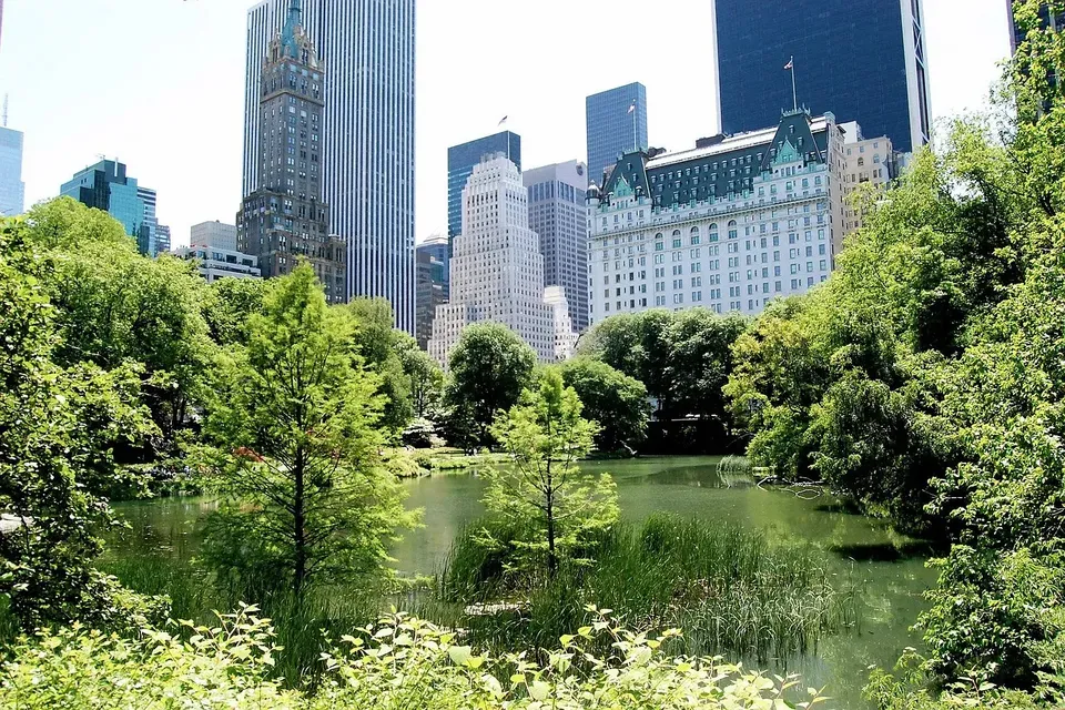 3 Bed 2 Bath Urban Residential Condo in New York, NY - 5