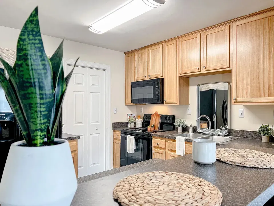3 Bed 2 Bath Urban Residential Condo in Norfolk, VA - 1