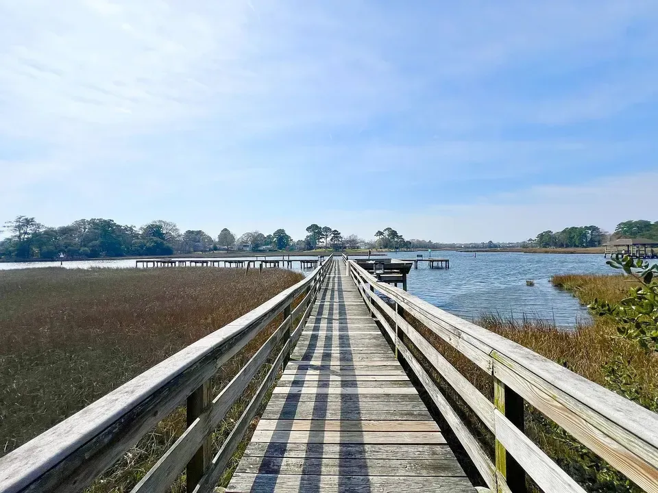 3 Bed 2 Bath Urban Residential Condo in Norfolk, VA - 4