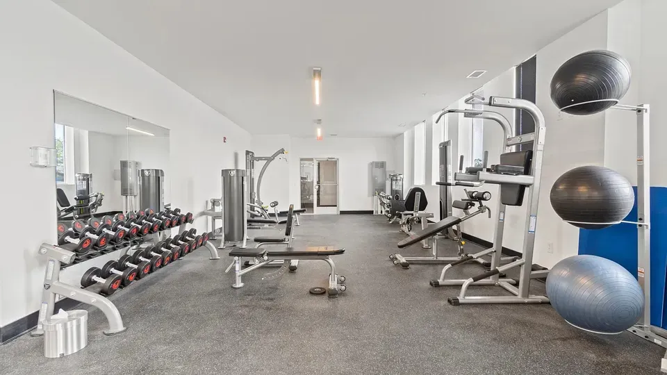3 Bed 2 Bath Urban Residential Condo in Norfolk, VA - 5