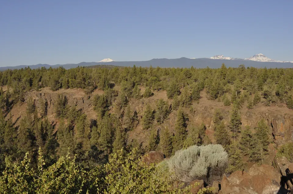 3 Bed 3 Bath Modern Architectural Estate in Bend, OR - 5