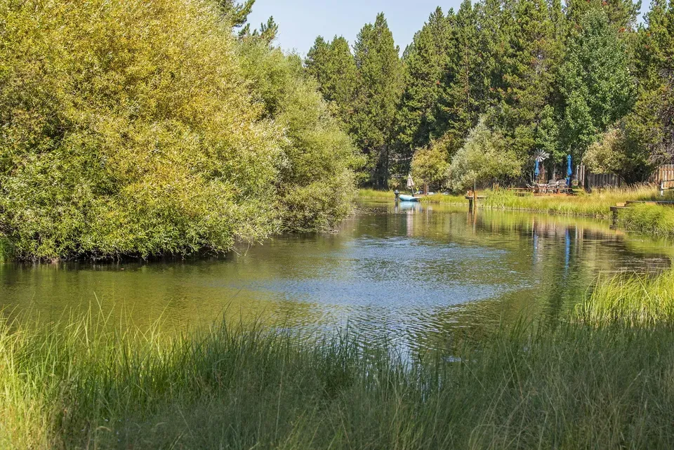 4 Bed 2 Bath Established Contemporary Home in Bend, OR - 3