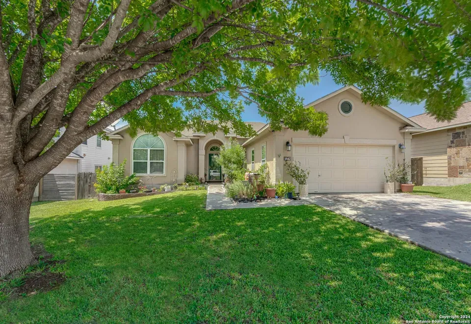 4 Bed 2 Bath Established Contemporary Home in New Braunfels, TX - 2