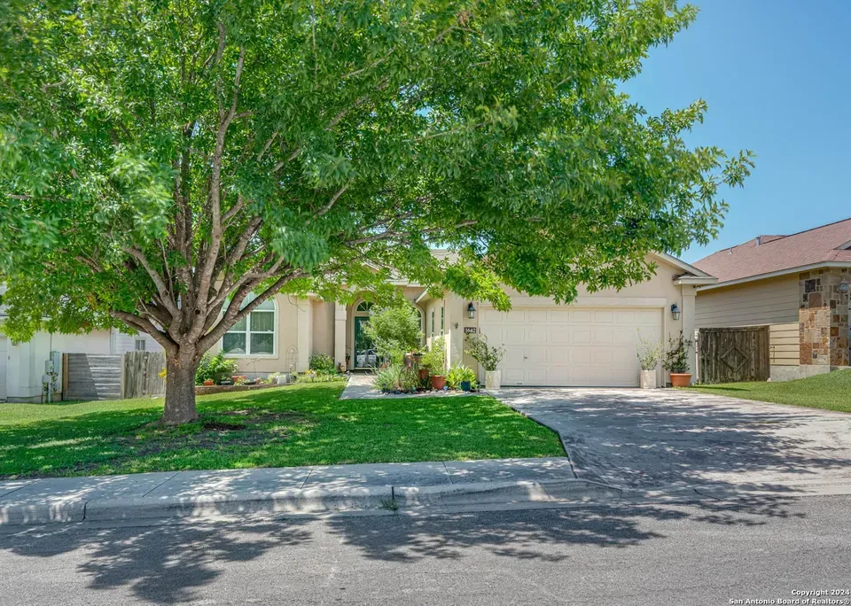 4 Bed 2 Bath Established Contemporary Home in New Braunfels, TX - 4