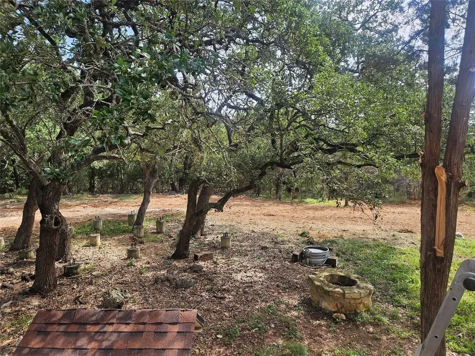4 Bed 2 Bath Established Contemporary Home in New Braunfels, TX - 3