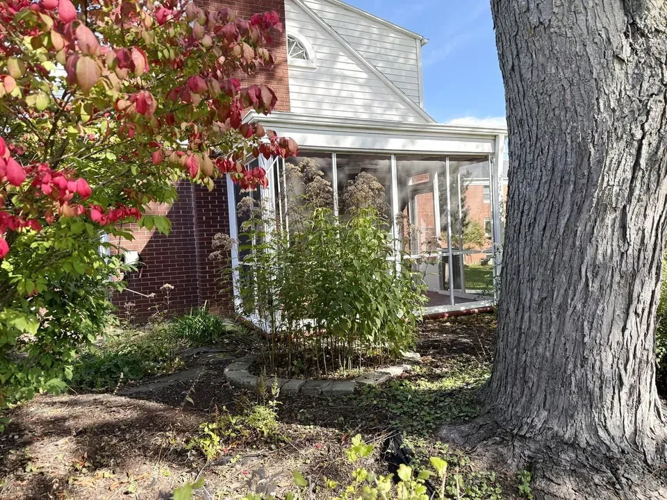 4 Bed 2 Bath Established Mid-Century Residence in Green Bay, WI - 3