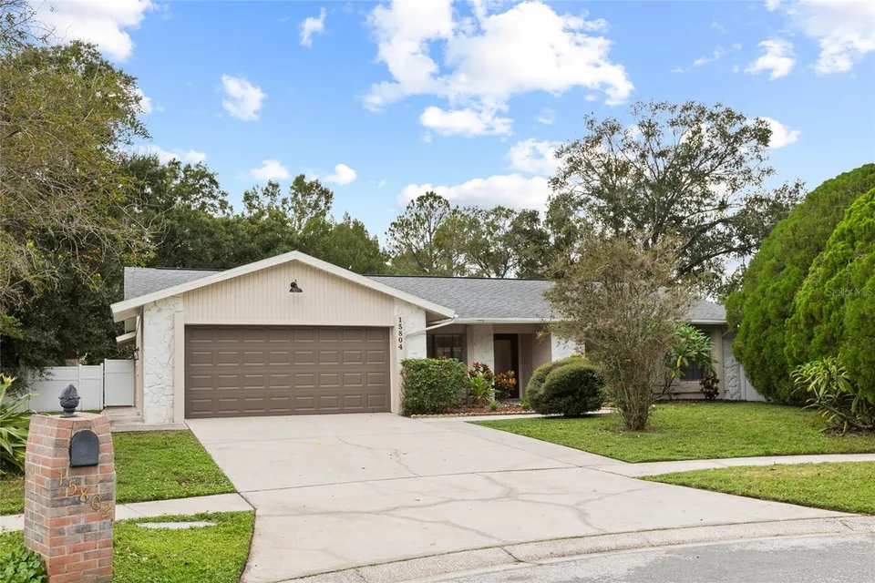 4 Bed 2 Bath Contemporary Modern in Tampa, FL