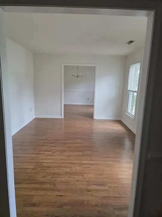4 Bed 2 Bath Modern Contemporary Residence in Chesapeake, VA - 3
