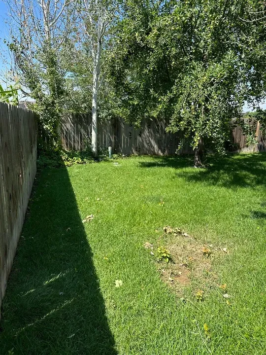 4 Bed 2 Bath Modern Contemporary Residence in Meridian, ID - 5