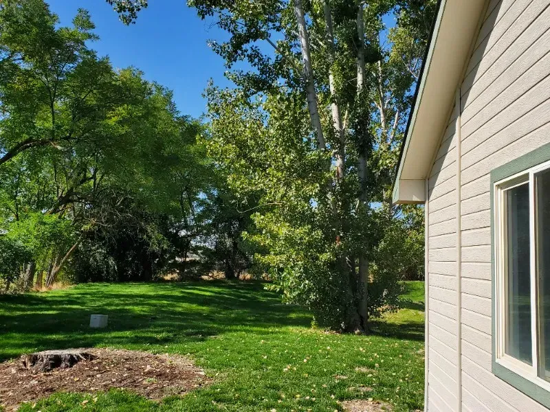 4 Bed 2 Bath Modern Contemporary Residence in Nampa, ID - 2