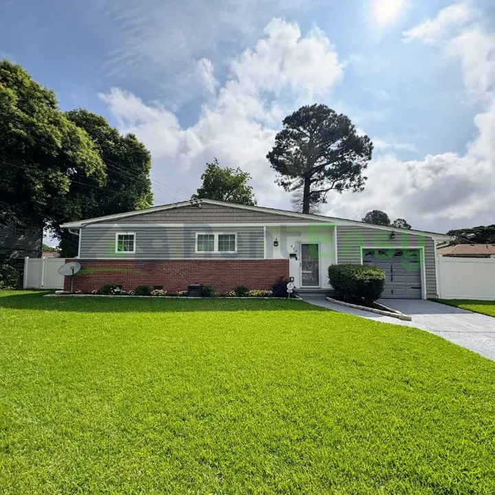 4 Bed 2 Bath Modern Contemporary Residence in Norfolk, VA - 1