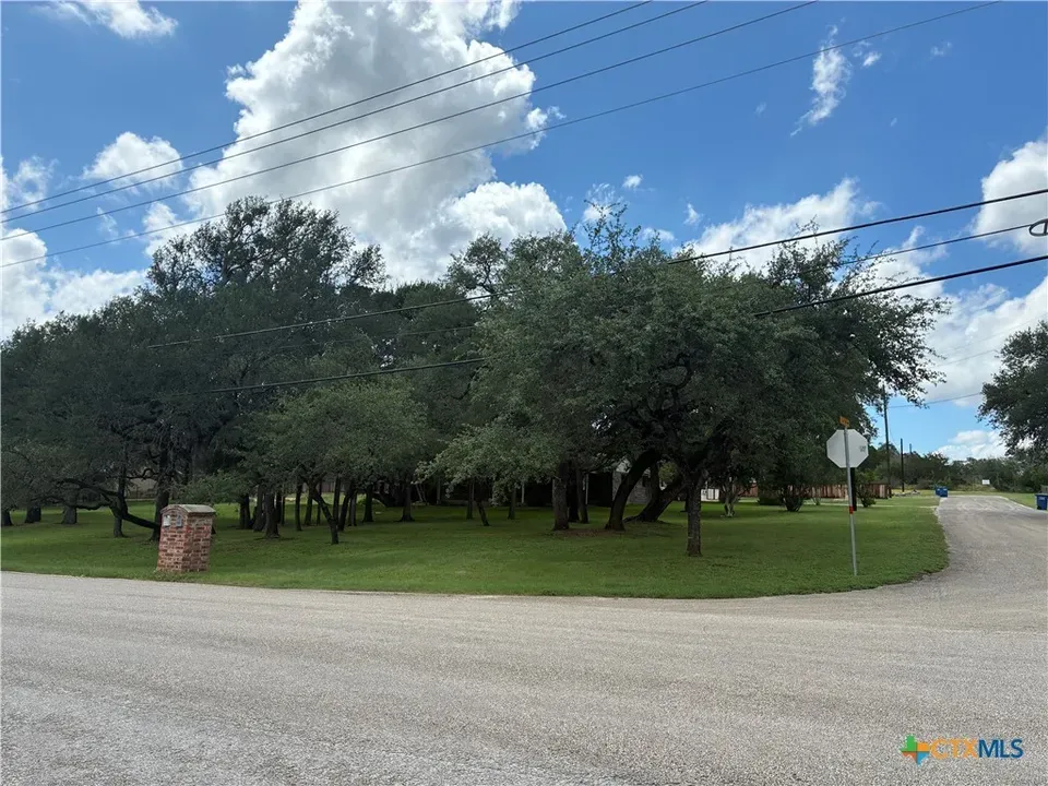 4 Bed 3 Bath Established Mid-Century Residence in New Braunfels, TX - 4
