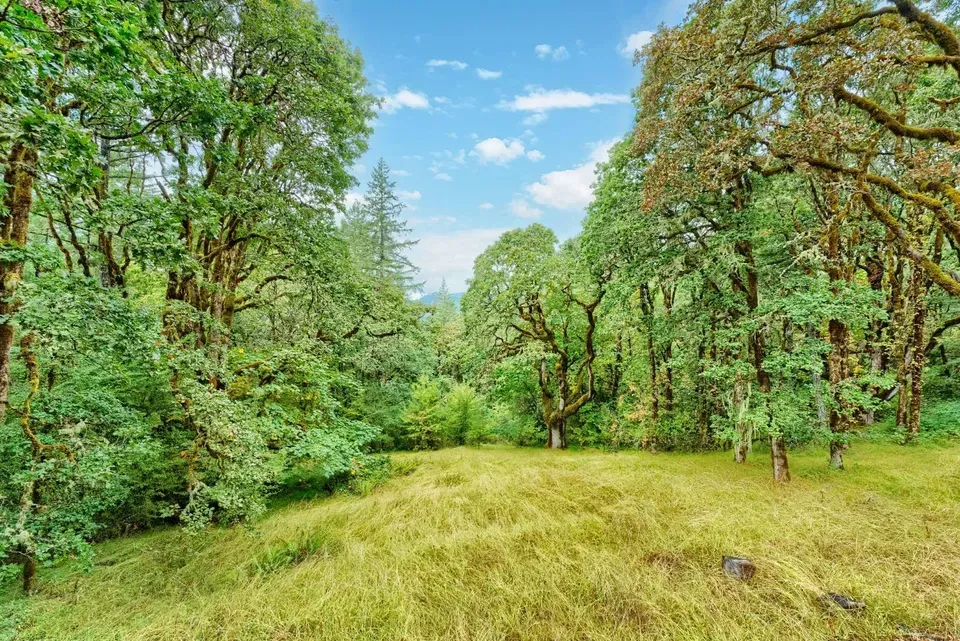 4 Bed 3 Bath Traditional Suburban Family Home in Corvallis, OR - 3
