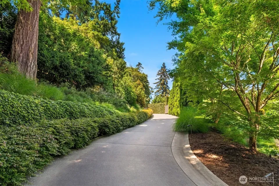 5 Bed 2 Bath Established Contemporary Home in Seattle, WA - 1