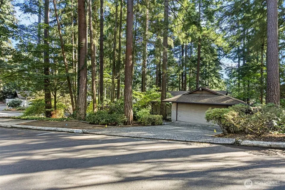 5 Bed 2 Bath Established Mid-Century Residence in Bellevue, WA - 3