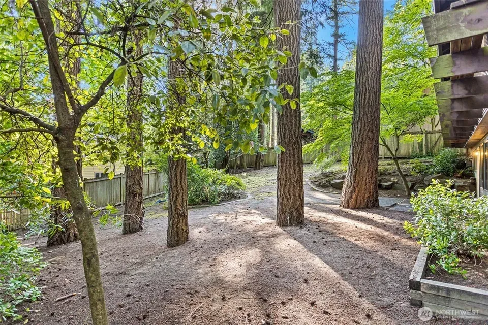 5 Bed 2 Bath Established Mid-Century Residence in Bellevue, WA - 5