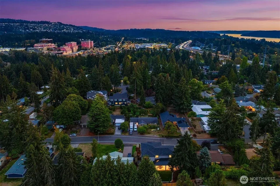 5 Bed 2 Bath Modern Architectural Estate in Bellevue, WA - 2