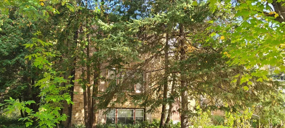 5 Bed 3 Bath Multi-Unit Residential Property in Madison, WI - 2
